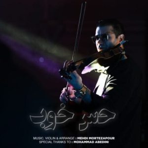 مهدی مرتضی پور – حس خوب